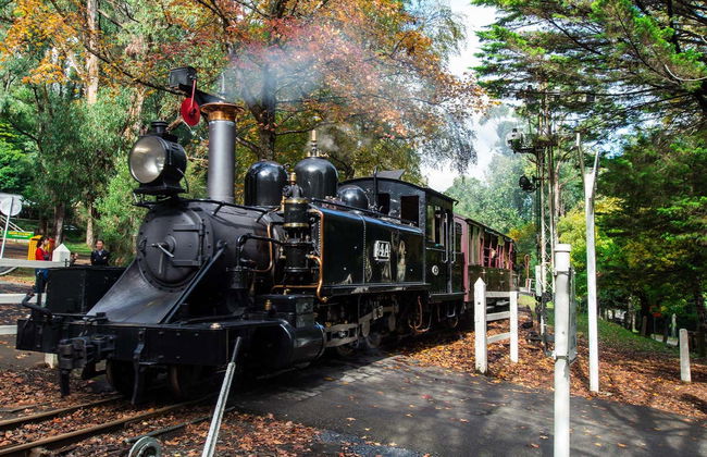 Puffing Billy & Healesville Sanctuary Day Trip - Photo 2