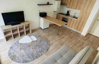 Appartement T2 + parking privatif - Centre ville - Foto 4