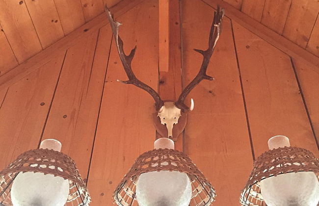 Charmantes, Einladendes Ferienhaus in Toller Natur - Foto 13