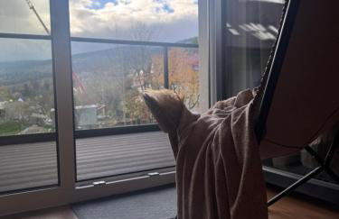 Vista Izera - Foto 30