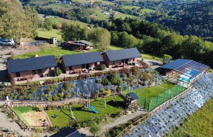 Agroturystyka Faron - Foto 7