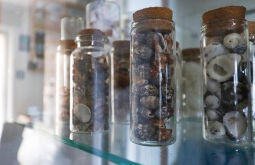 Una Conchiglia sul Mare Attico vista Portofino - Foto 32