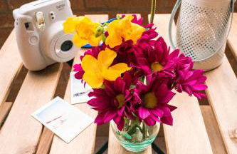 Burò il Viaggiatore - Foto 12