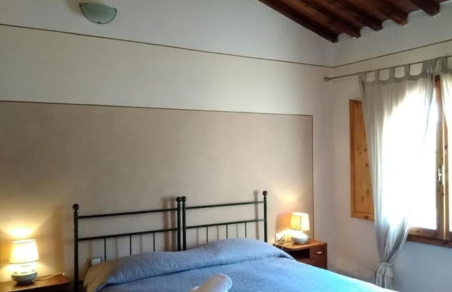 Fattoria Lischeto - Foto 9