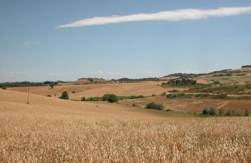 Mulino a vento - Foto 48