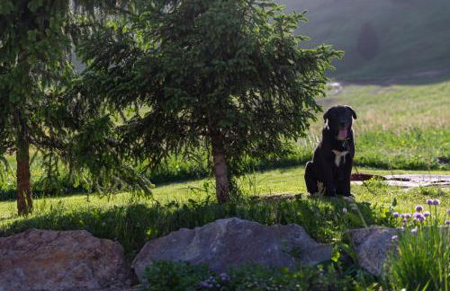 Chalet Mistral - Foto 24