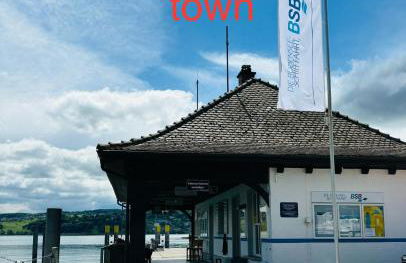 Lakefront View Entire Apartment with 2 bedrooms, 2 full bathrooms & Balcony Waterview - Foto 75