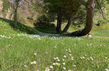 RESORT Panoramico Canale Suite - private parking - Natural Park - Photo 51