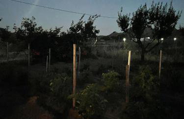 MANOLIS COTTAGE THANOS - Foto 27