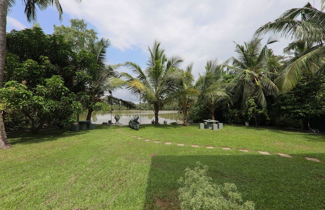 Morning Guest can see Momkeyies and Birds - Foto 27