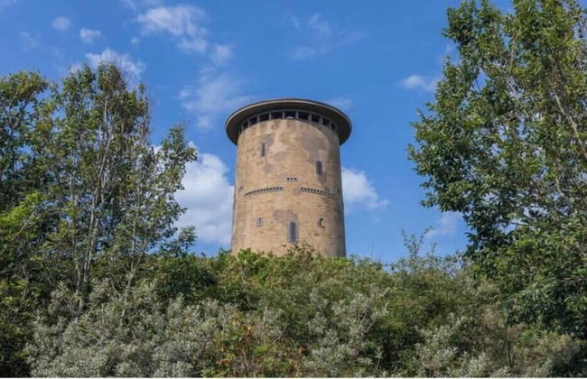 Thatched Villa With Wifi, sea at 1 km in Cosy Domburg - Foto 22