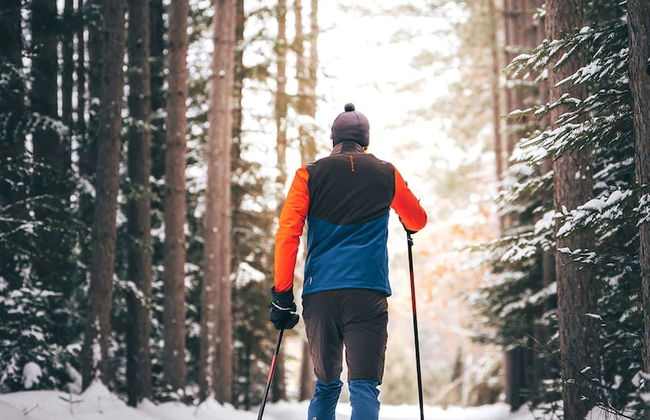 Le M Sangeai Citq 300267 - Foto 26