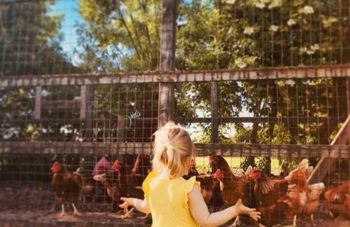 NORDSEE Bauernhof Familie Wulff FeWo "Südfall" - Foto 12