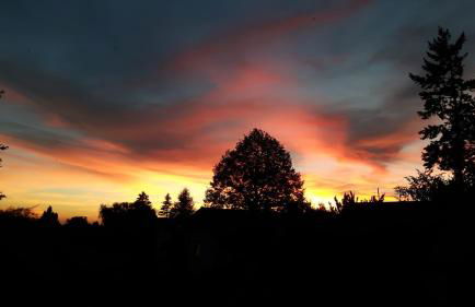 Villa Maja - Foto 22