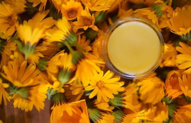 Il Rifugio del Contadino Country House - Photo 28