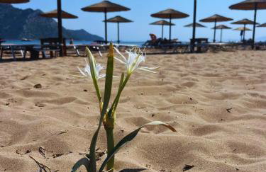 Neo-Residence - Foto 20