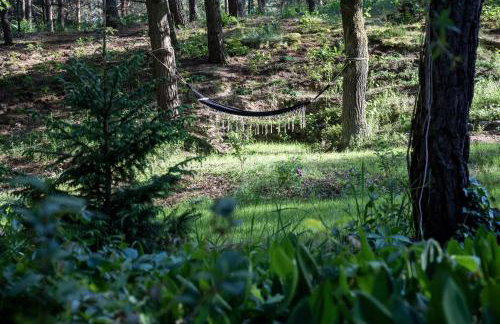 Uroczy mały domek na leśnej działce - Łosiówka - Foto 6