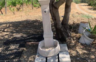 Villa Paradiso - Photo 21