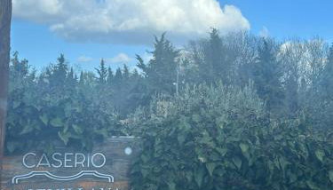 CASERIO LA SEVILLANA - Foto 2