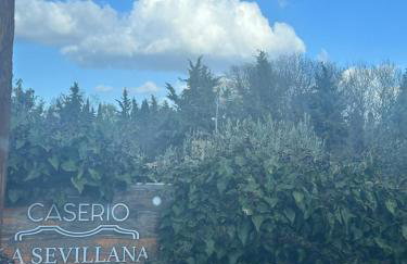 CASERIO LA SEVILLANA - Foto 2