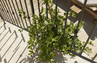 Les Bastides du Mas de l'Amarine - Foto 77