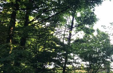 Lodge with log burner Contractors business private parking free Wi-Fi near M4 - Foto 71