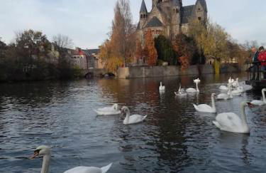 Lumineux et cosy, 2 mn gare, 2mn Muse, 5mn centre - Foto 24