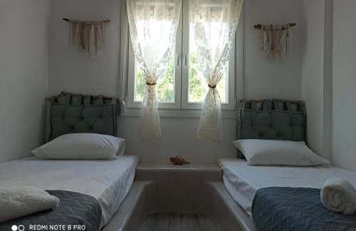 Cactus Home - Foto 12