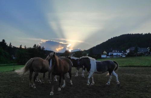 Ferienwohnung am Tor zum Thüringer Wald 2 - Foto 18