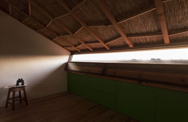 Be & See in Nature - Foto 8