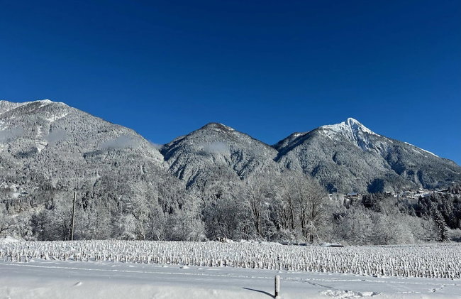 Beautiful Chalet With Sauna - Foto 36