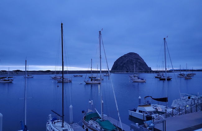 Gray's Inn & Gallery - Foto 67