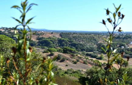 Monte Sardinha - Foto 84