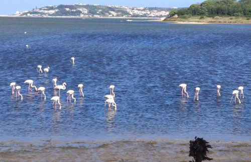 Casa da Annelies. Accessible holiday home - Foto 35