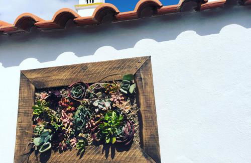 Casinhas da Figueira - Foto 44