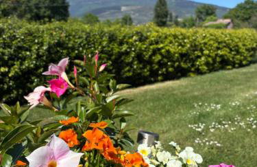 Il giardino delle rose - Foto 18