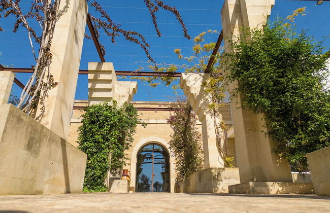 Secolario Masseria Del Viverbene - Foto 65