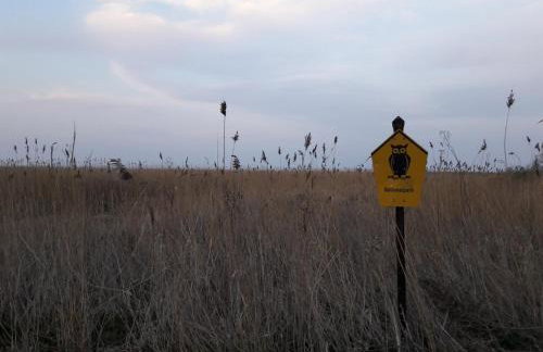 Ferienhaus am Gutspark 3, Klausdorf, ca 250 m bis zur Badestelle - Foto 23