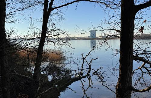 Sunlit Garden - Ruhig am Wald nahe Warnow Rostock - Kamin - Foto 30