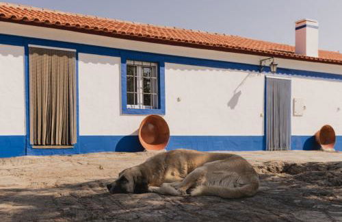 Monte das Galhanas - Foto 7