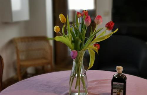 Rosenhaus der Wasserburg - Foto 11