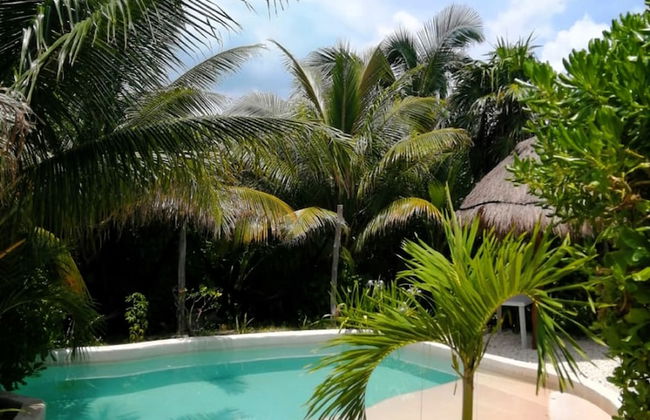 IKAL Island Garden - Adults Only - Foto 72