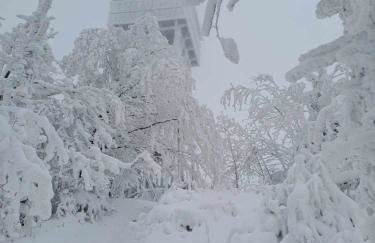 Chatka pod Lubaniem - Photo 40