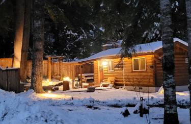 Knotty Shack- Unique Tiny Log Cabin with Hot Tub - Foto 27