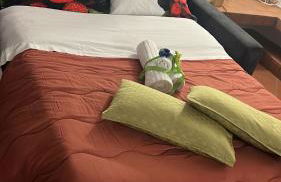 [Historic Center] Via Po Apartment - Foto 55