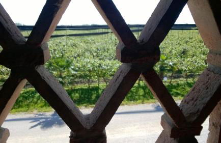 Agriturismo Sant'Egidio - Foto 32