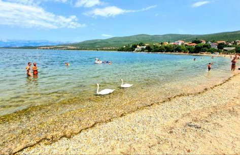 Babaloo Beach Apartments - Photo 52