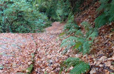 White stone house with great sea view - Foto 37