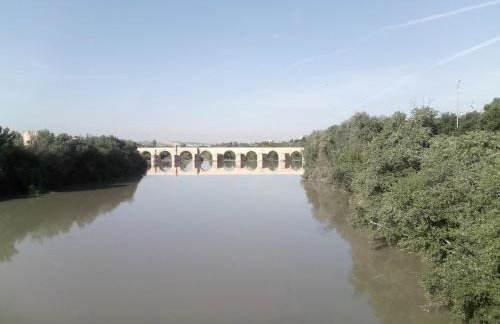 Lineros 24 - Foto 27