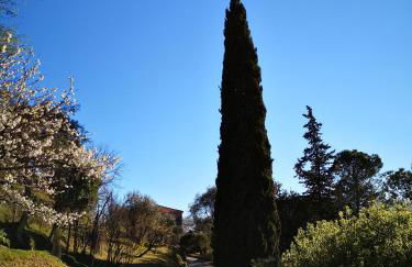 La Vivagna - Casa vista mare tra gli ulivi - Foto 35